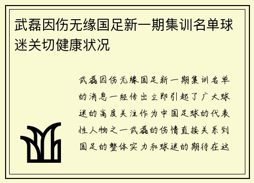 武磊因伤无缘国足新一期集训名单球迷关切健康状况 武磊因伤无缘国足新一期集训名单球迷关切健康状况